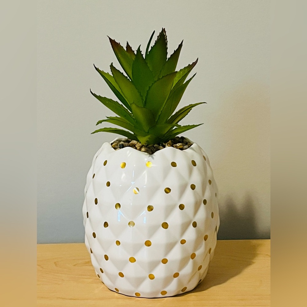 Ceramic Succulent